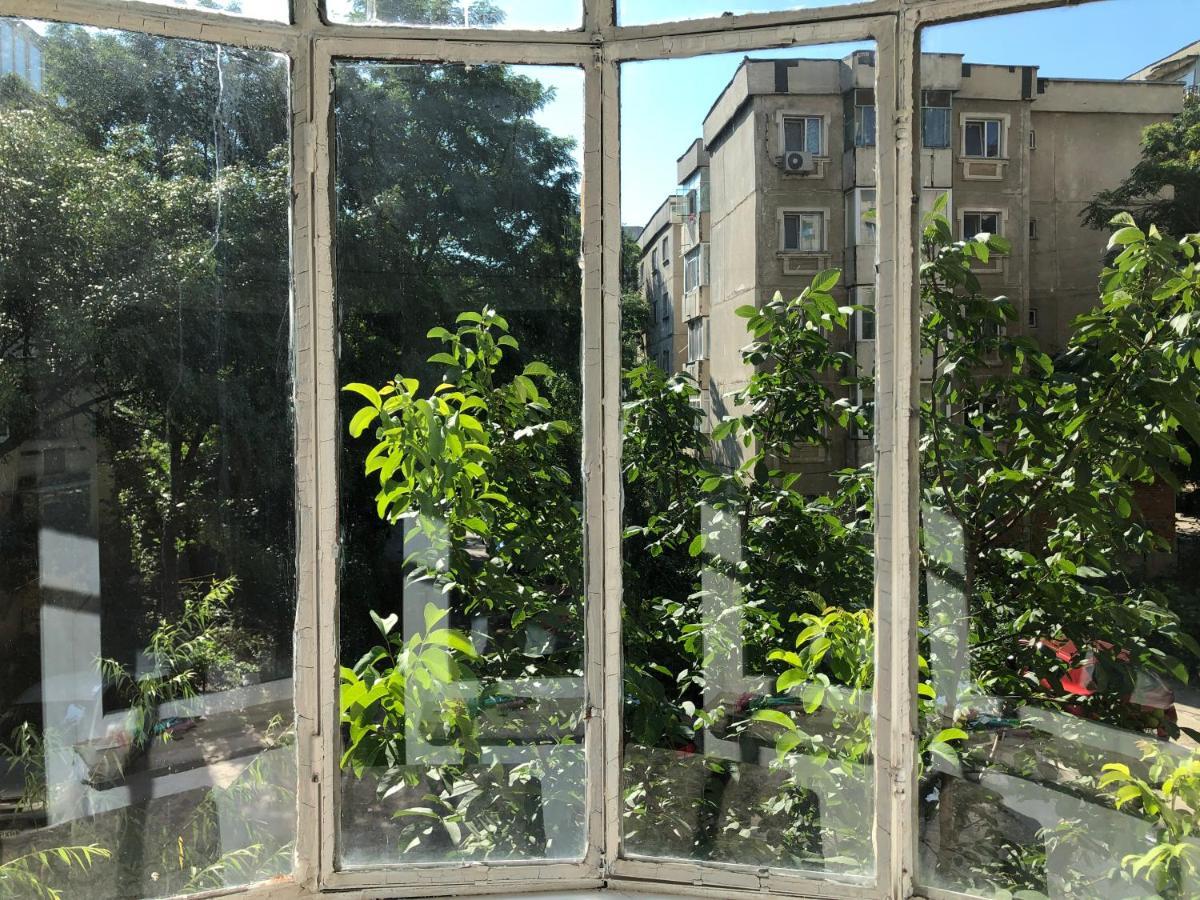 Le Garcon De Cristina-simple,quiet,spacious Appartamento Bucarest
