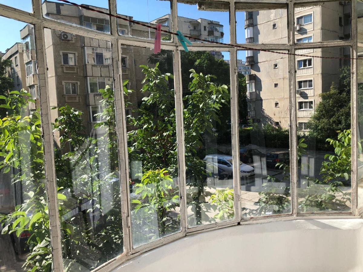 Le Garcon De Cristina-simple,quiet,spacious Bucarest