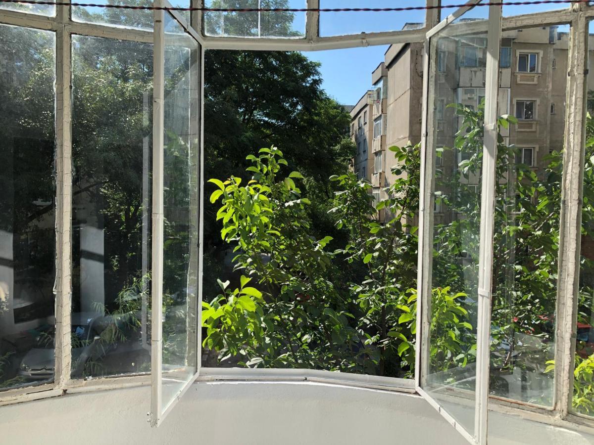 Le Garcon De Cristina-simple,quiet,spacious * Bucarest