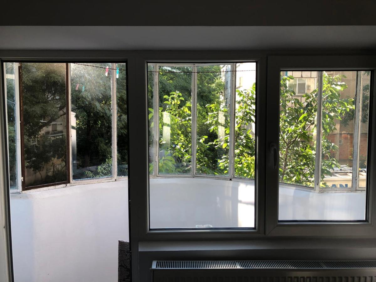 Le Garcon De Cristina-simple,quiet,spacious * Bucharest