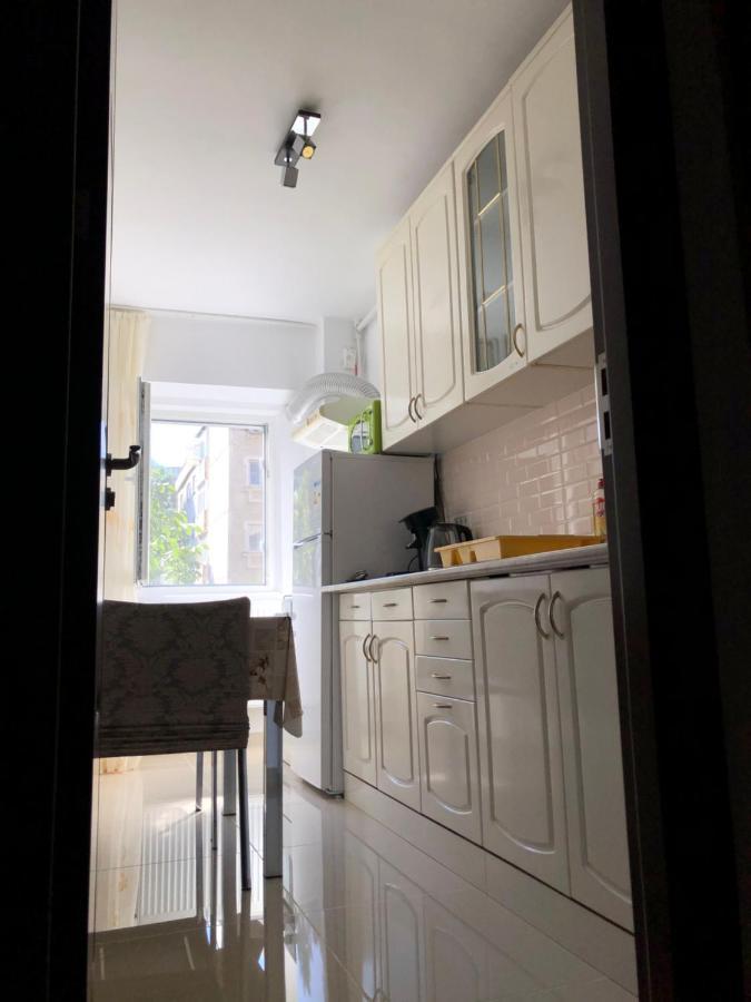 Le Garcon De Cristina-simple,quiet,spacious * Bucarest