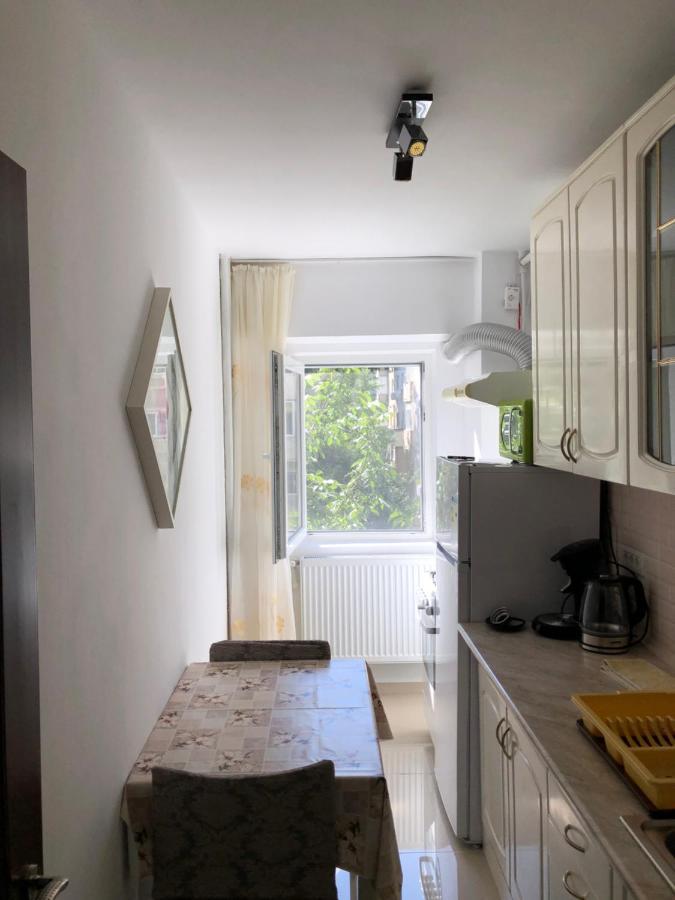Le Garcon De Cristina-simple,quiet,spacious Bucarest